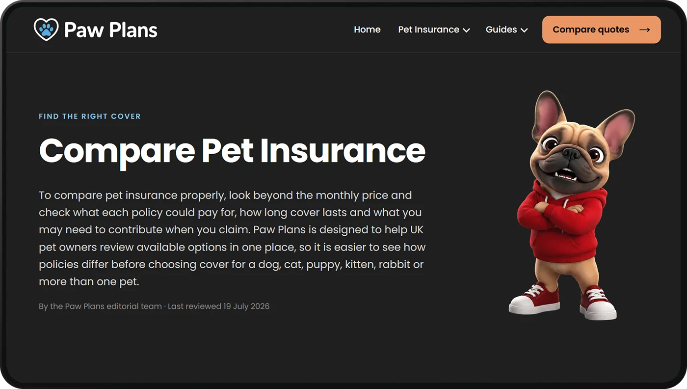 Paw Plans website design project